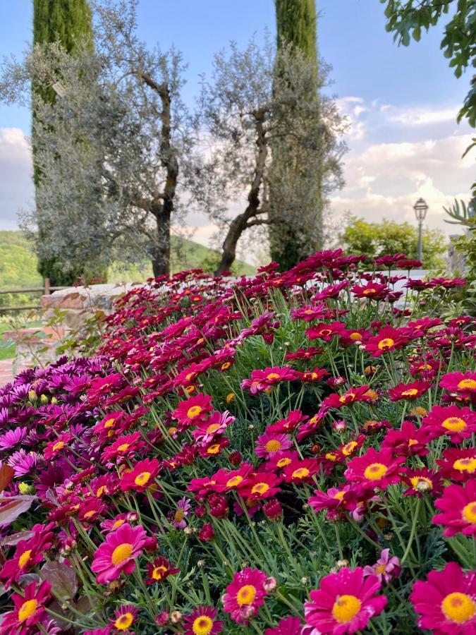 Montefollonico Agriturismo Belagaggio מראה חיצוני תמונה
