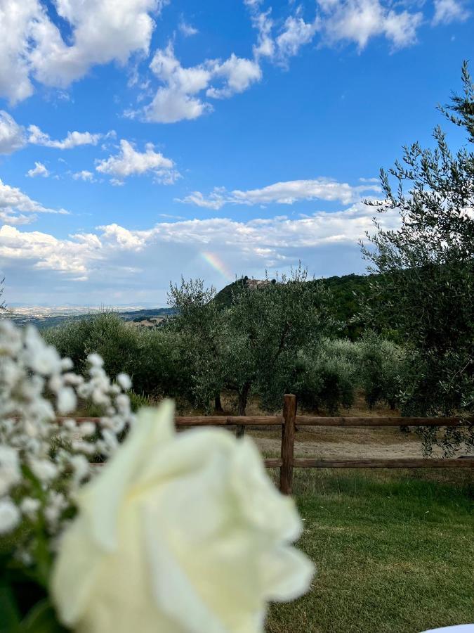 Montefollonico Agriturismo Belagaggio מראה חיצוני תמונה