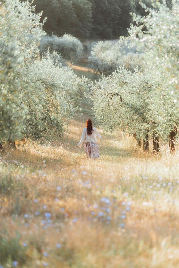 Montefollonico Agriturismo Belagaggio מראה חיצוני תמונה