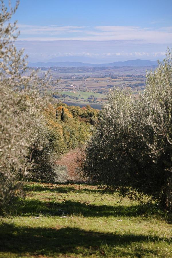Montefollonico Agriturismo Belagaggio מראה חיצוני תמונה
