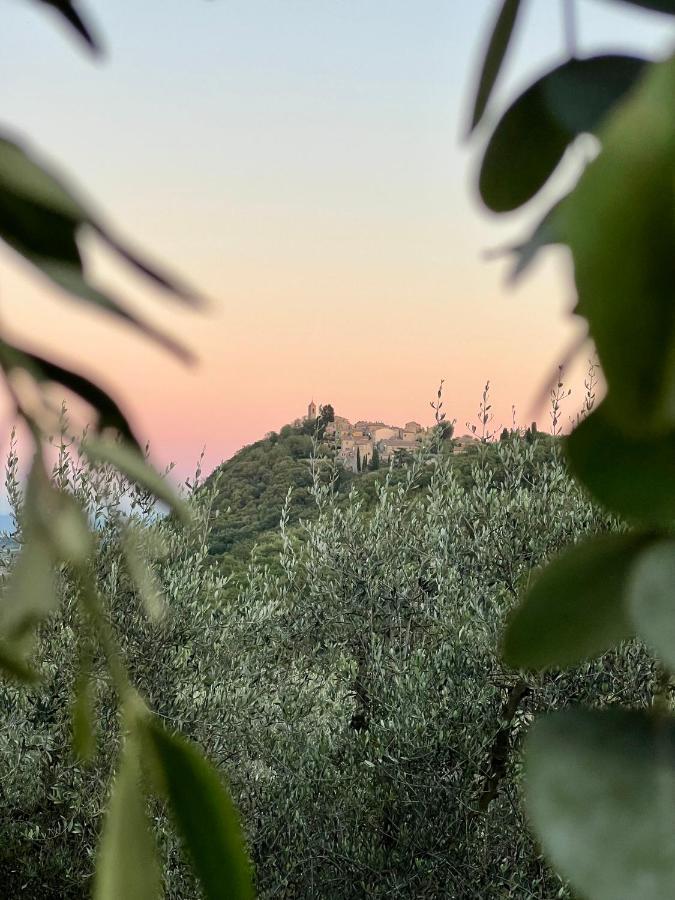 Montefollonico Agriturismo Belagaggio מראה חיצוני תמונה